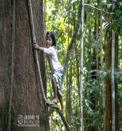 amazonia-conservamos-por-naturaleza-700x467 (1)
